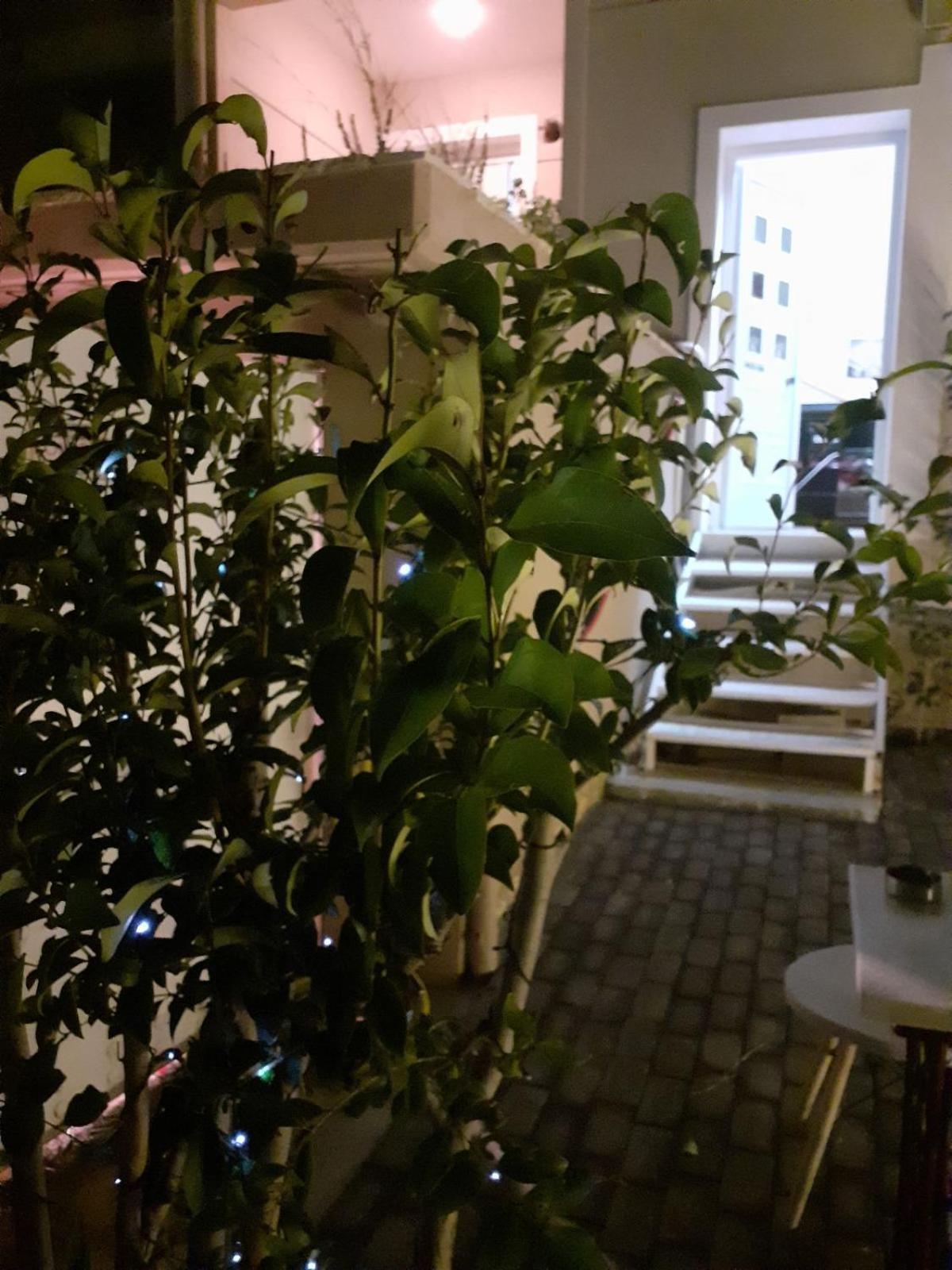Exostis * Nafplio